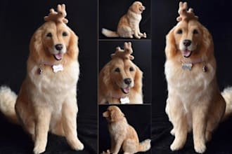 lifelike custom pet replica needle felted golden retriever dog sculpt 3d print