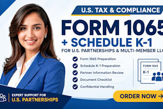 prepare form 1065 partnership returns with schedule k1 for US llc owners