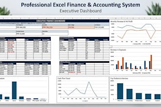 create an excel finance and accounting management system