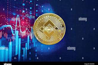 provide expert crypto guidance