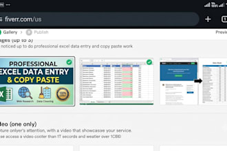 do professional excel data entry and copy paste work