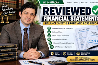 prepare reviewed financial statements, balance sheet and sign profit loss report