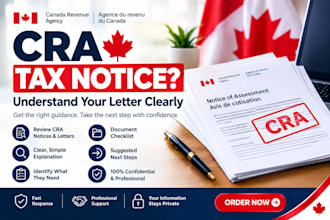 review and explain your cra tax notice or audit letter