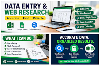 do accurate data entry, web research and excel work