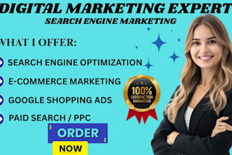 setup google shopping feed optimization SEO ads campaign product listing audit