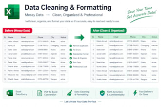 do data entry, excel data cleaning and conversion