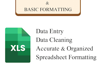 excel data entry and basic spreadsheet formatting