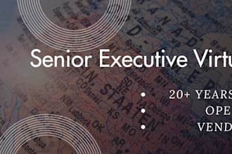 be your senior virtual assistant and operations manager