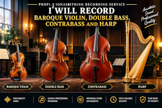 record professional baroque violin, double bass, contrabass and harp