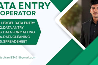 do excel data entry and spreadsheet formatting