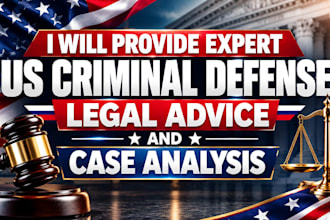 provide expert US criminal defense legal advice and case analysis