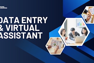 be your expert virtual assistant for data entry and ms office tasks