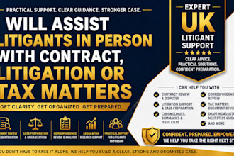 assist litigants in person with contract, litigation or tax matters