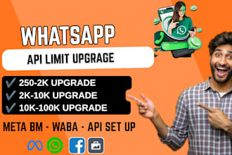 upgrade  your meta bm whatsapp API limit from 250 to 2k, 100k or 100k