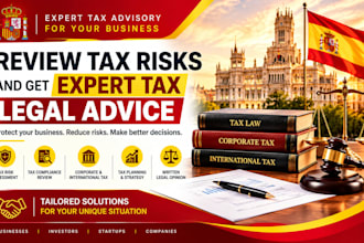review tax risks and provide expert tax legal advice