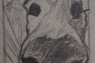 shitty portraits of pets