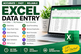 do accurate excel data entry, data cleaning and formatting
