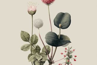 draw hand drawn botanical line art for tattoo packaging