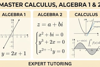 tutor you in math and statistics