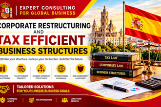 advise on corporate restructuring and tax efficient business structures