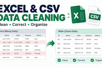 clean and organize your excel or CSV data