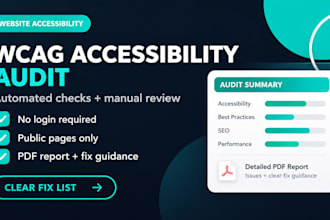 perform a wcag website accessibility audit