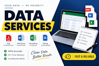 do your data clean, format and analyze with accuracy