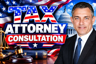 provide expert US tax attorney consultation for irs issues and tax planning