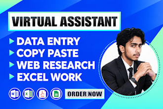 be your virtual assistant for data entry,copy paste and exel work
