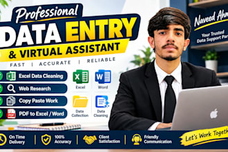 do professional data entry, ms excel, and web research work