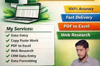 do data entry, copy paste work, PDF to excel, typing works