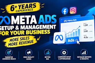 set up and manage facebook and instagram ad campaigns