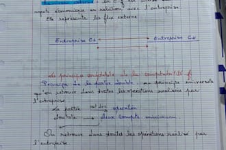 handwrite your text in english