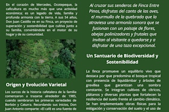 ficha tÉcnica comercial de tu finca