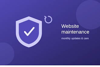 maintain and update your wordpress website