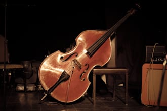 record contrabass, violin, cello, fiddle, erhu , banjo, dobro and world string