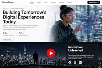 design and develop a professional wordpress website and blog