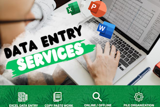 do accurate data entry, copy paste, web research and excel work