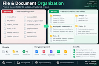 clean, organize and format your excel or CSV data