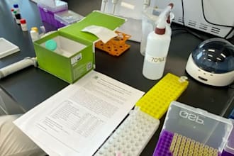 develop pharmaceutical formulations, drug products and dosage forms