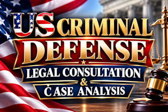 provide expert US criminal defense legal consultation and case analysis