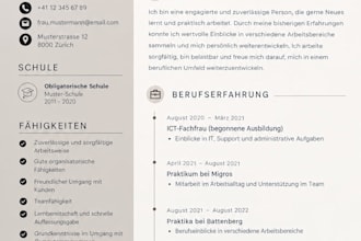 create a job winning customized CV