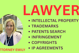 be intellectual property, trademark, patent and copyright infringement lawyer