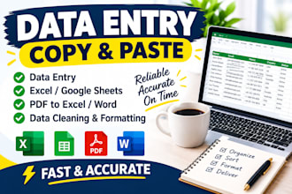 do professional data entry, copy paste and excel work