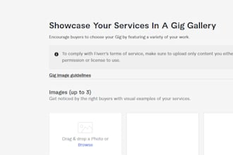 design shopify store droppshiping and ecommerce store