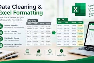 remove duplicates and do excel formatting in just 24 hours