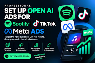 set up ai ads,tiktok video ads for you spotify music, spotify music promotion