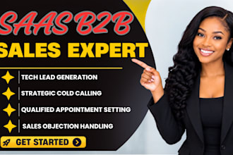 be your IT and saas cold caller appointment setter b2b sales lead generation