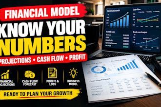 prepare financial projections, cash flow forecast, profit loss, business model