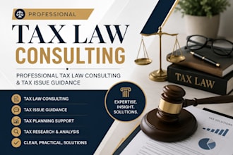 provide professional tax law consulting and tax issue guidance